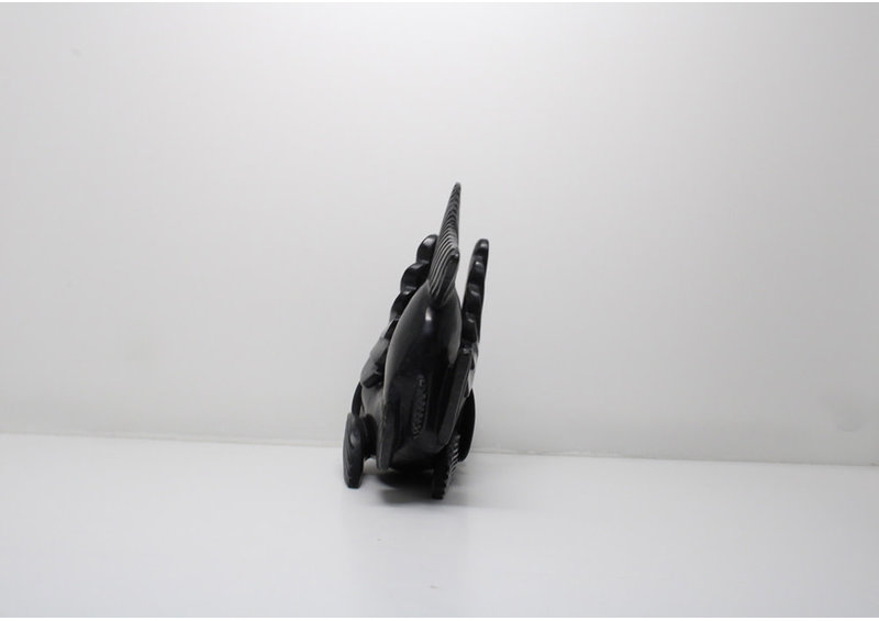 23831 Arctic char by Toonoo Sharky