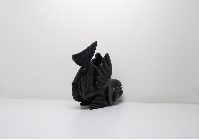 23831 Arctic char by Toonoo Sharky