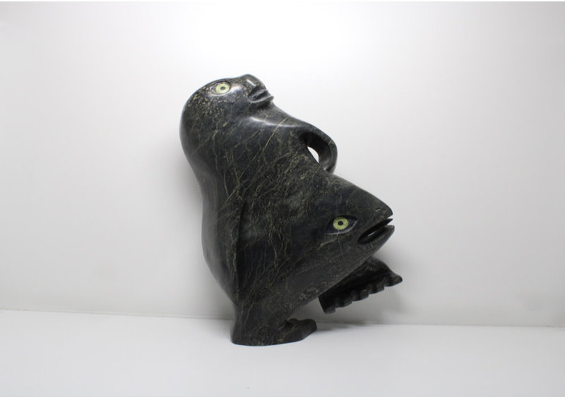 13860 Transformation by Toonoo Sharky