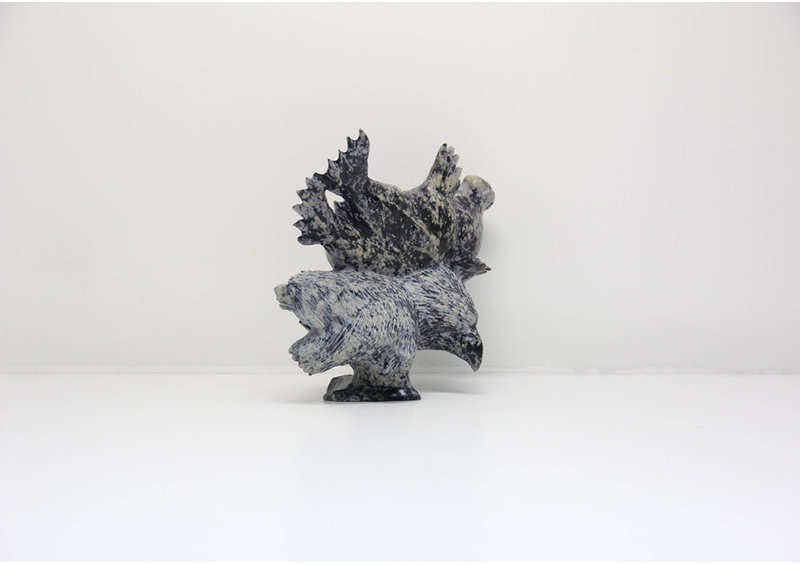 23600 Transformation by Pudlalik Shaa