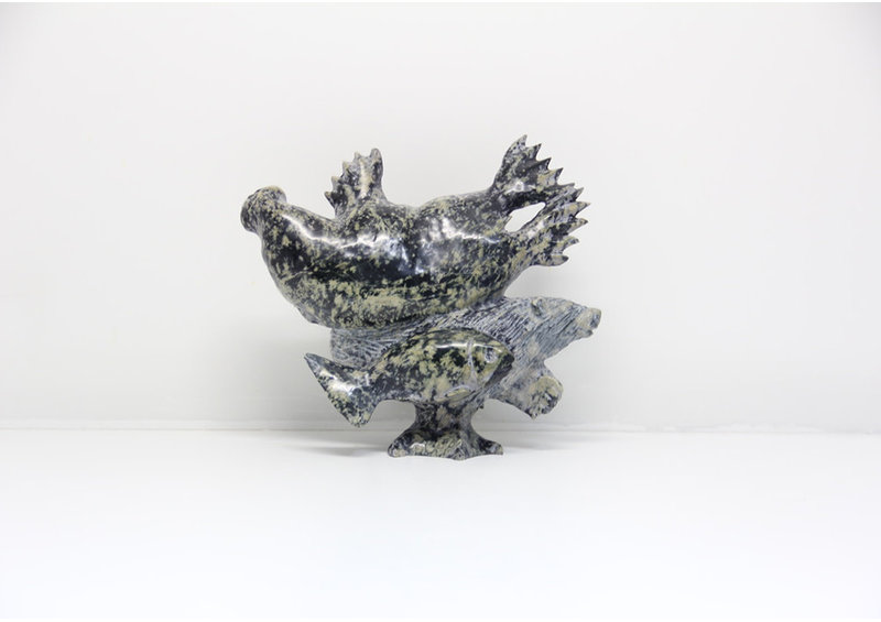 23600 Transformation by Pudlalik Shaa