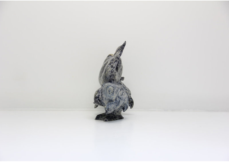 23600 Transformation by Pudlalik Shaa