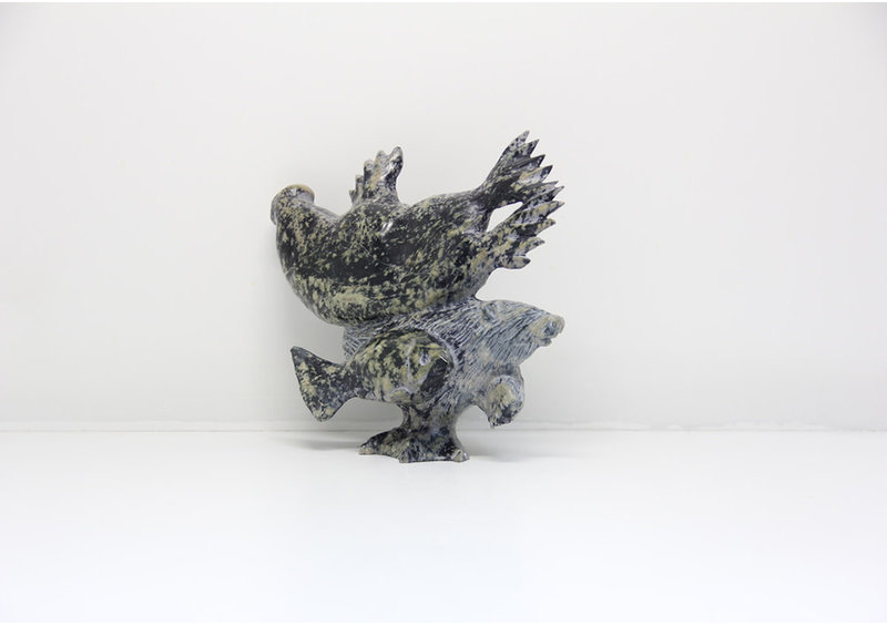 23600 Transformation by Pudlalik Shaa