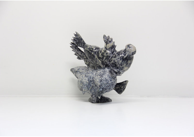 23600 Transformation by Pudlalik Shaa