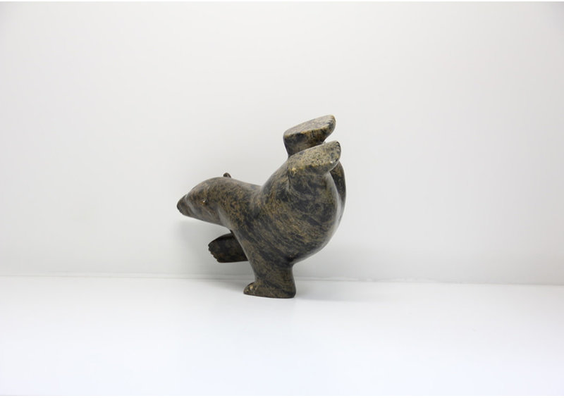 23628 Dancing bear by Noah Kelly