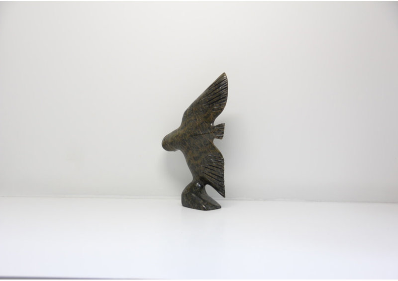 4956 Owl by Charlie Jonah