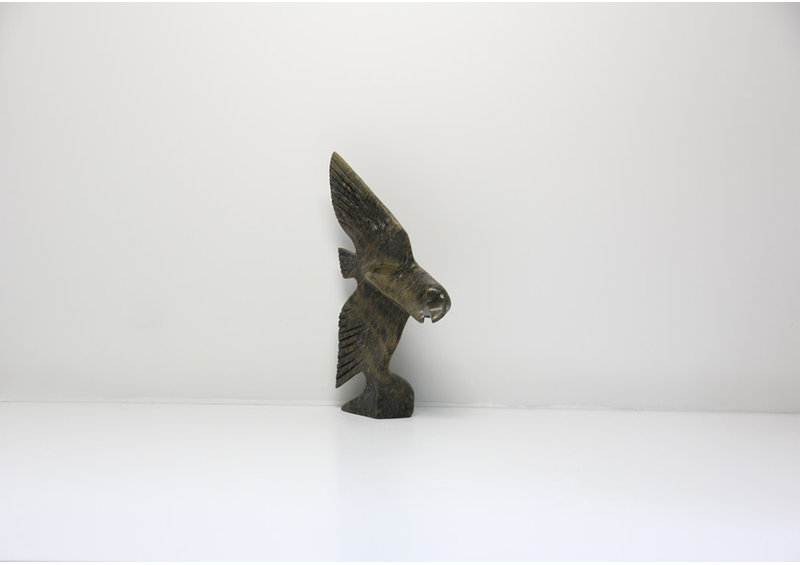 4956 Owl by Charlie Jonah