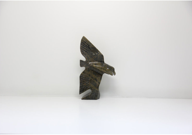 4956 Owl by Charlie Jonah