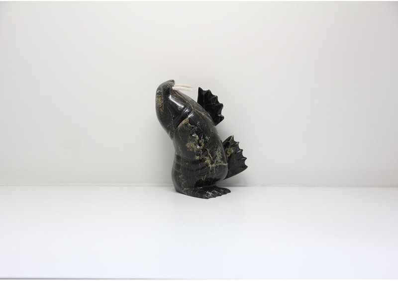 15305 Dancing walrus by Peter Parr