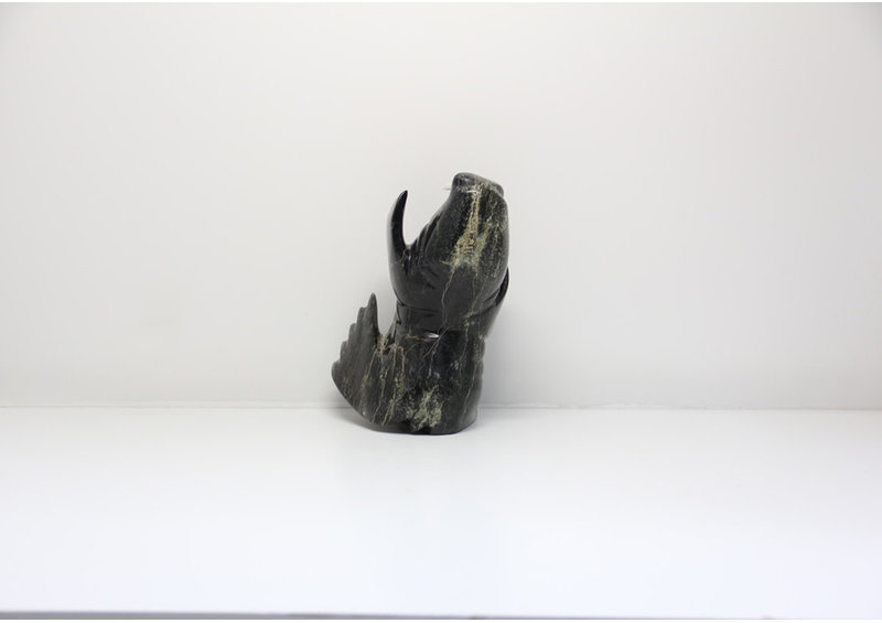 15305 Dancing walrus by Peter Parr