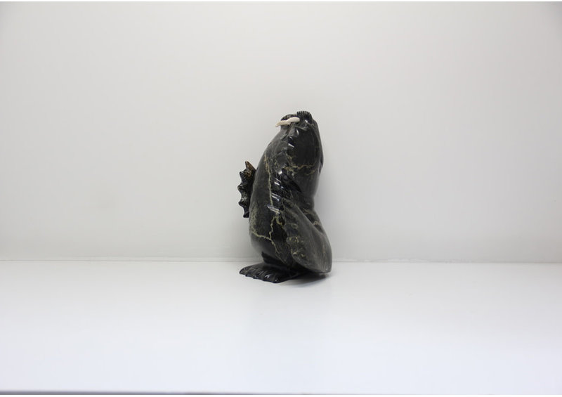 15305 Dancing walrus by Peter Parr