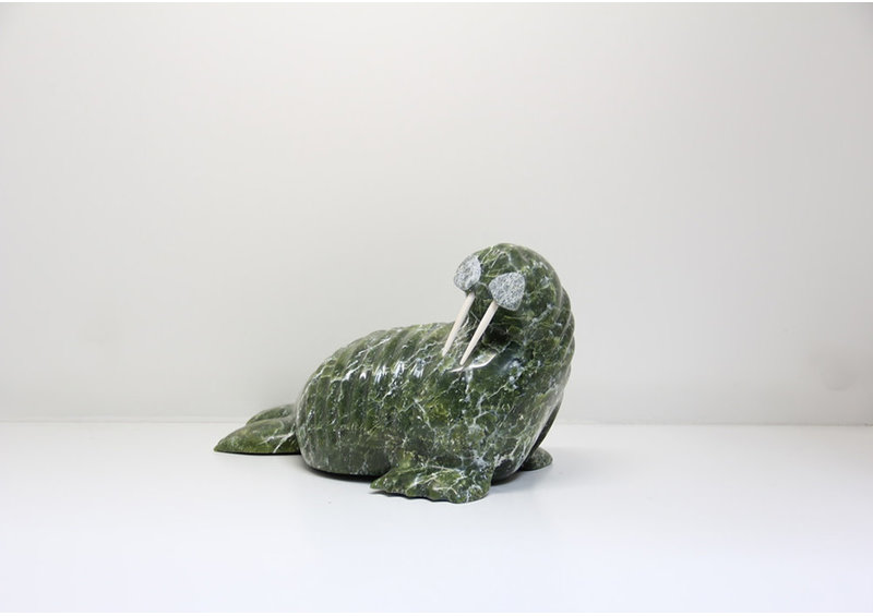 21282 Walrus by Tommy Pallister