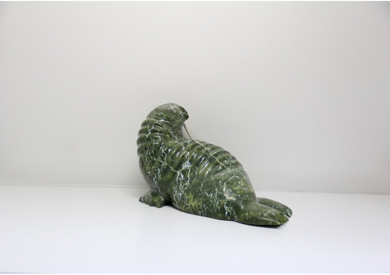 21282 Walrus by Tommy Pallister