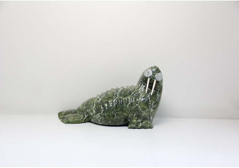 21282 Walrus by Tommy Pallister