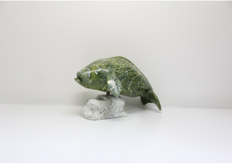 23708 Beluga by Kootoo Munno