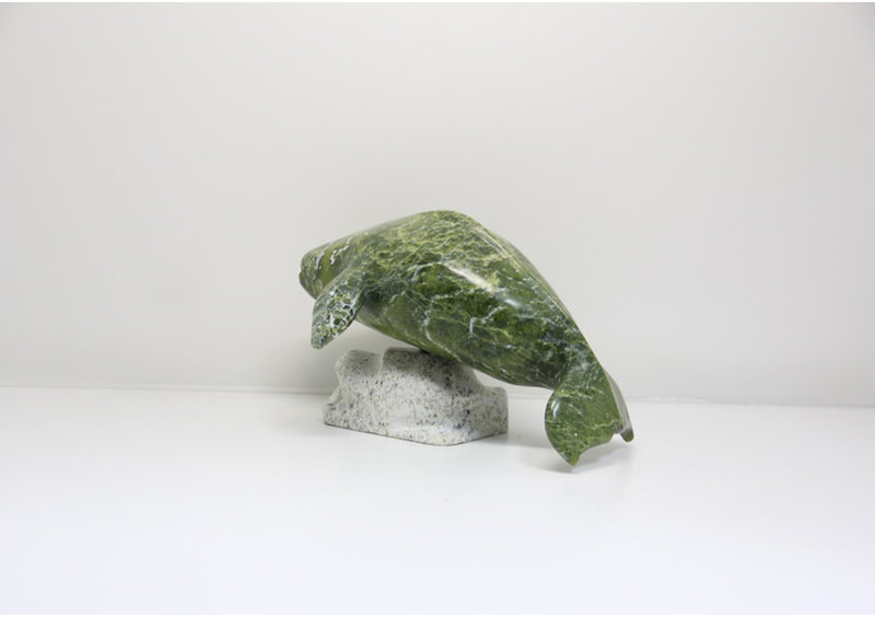 23708 Beluga by Kootoo Munno