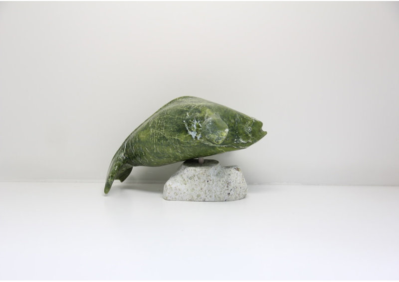 23708 Beluga by Kootoo Munno