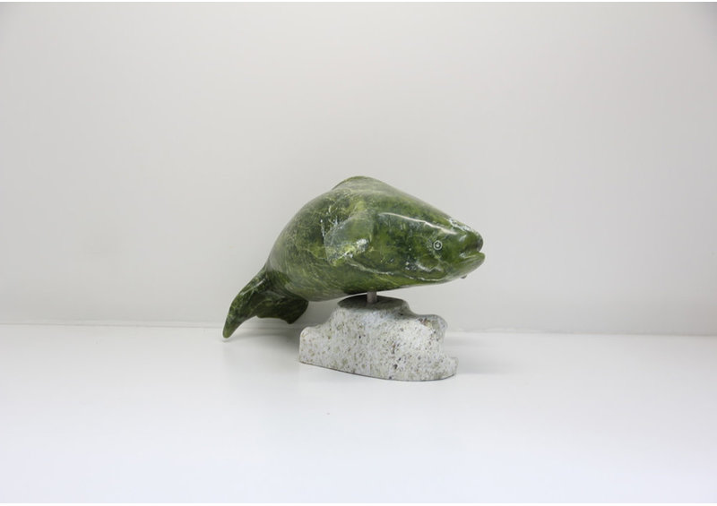 23708 Beluga by Kootoo Munno