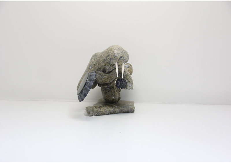 23764 Drum dancing shaman by Danny Aula