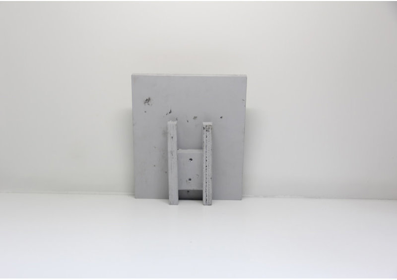 23789 Flying raven by Johnny Lee Judea