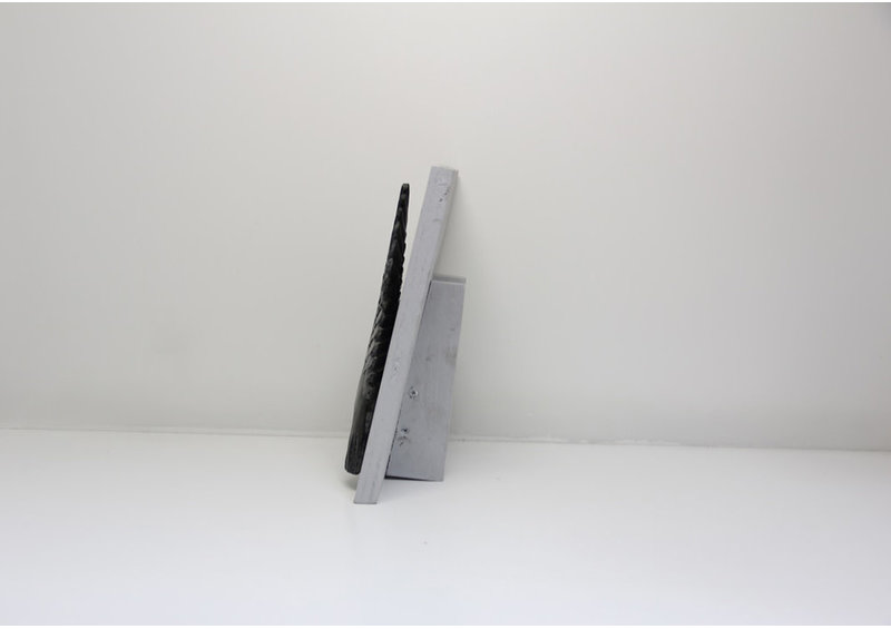 23789 Flying raven by Johnny Lee Judea