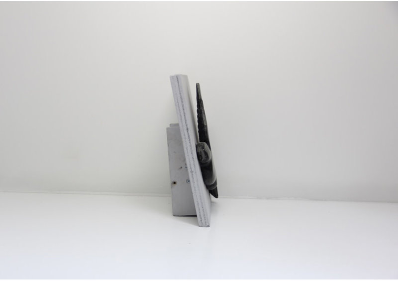 23789 Flying raven by Johnny Lee Judea