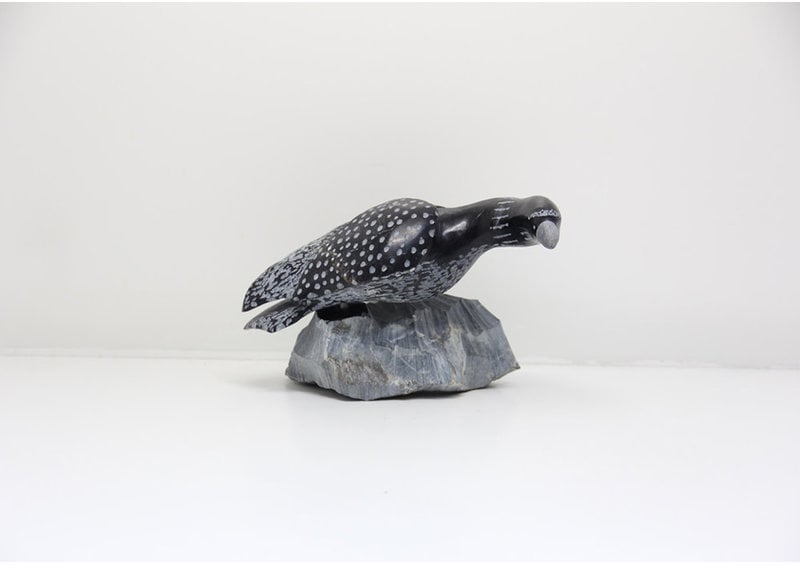 23832 Bird by Mazdak Darehshoirpour