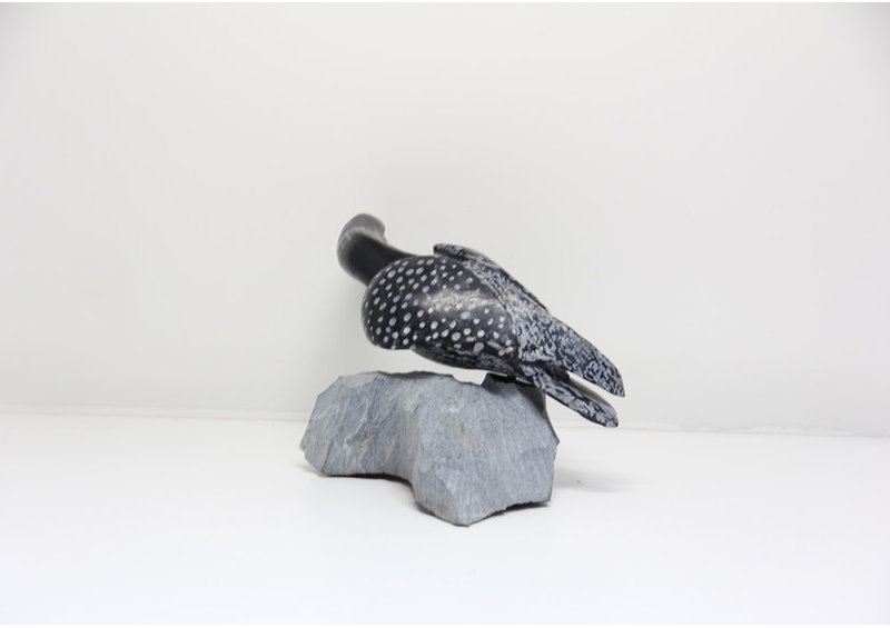 23832 Bird by Mazdak Darehshoirpour