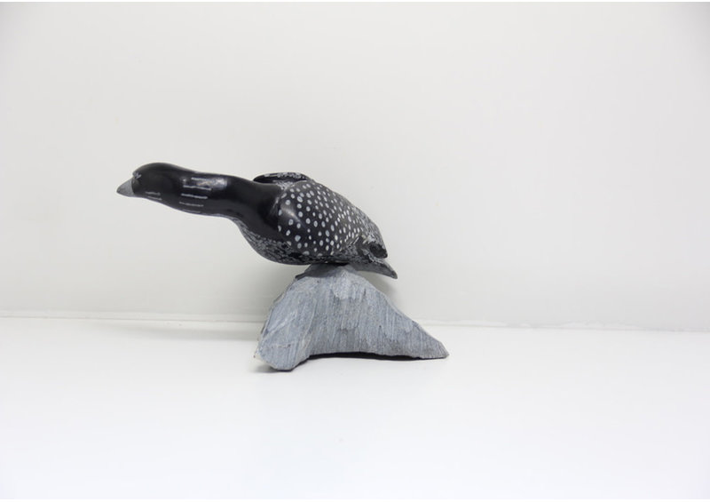 23832 Bird by Mazdak Darehshoirpour