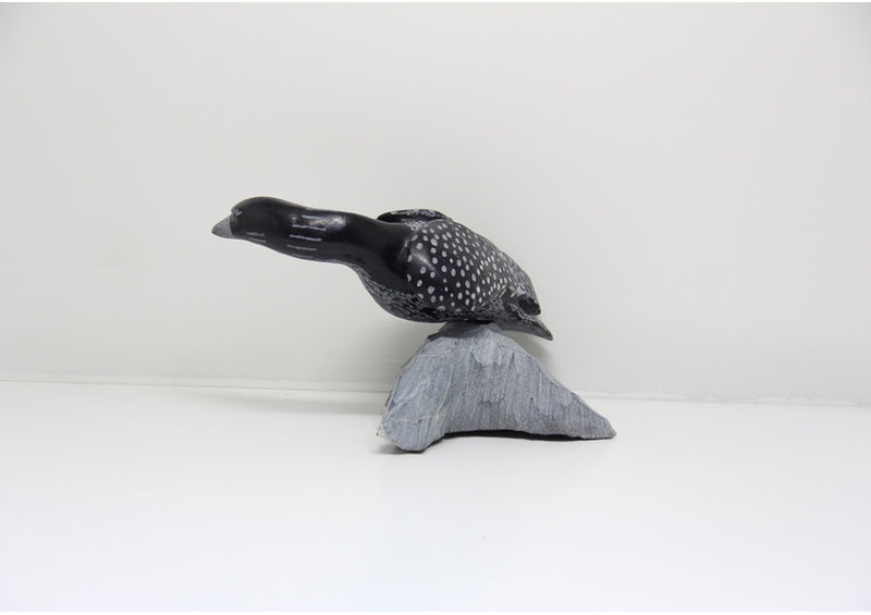 23832 Bird by Mazdak Darehshoirpour