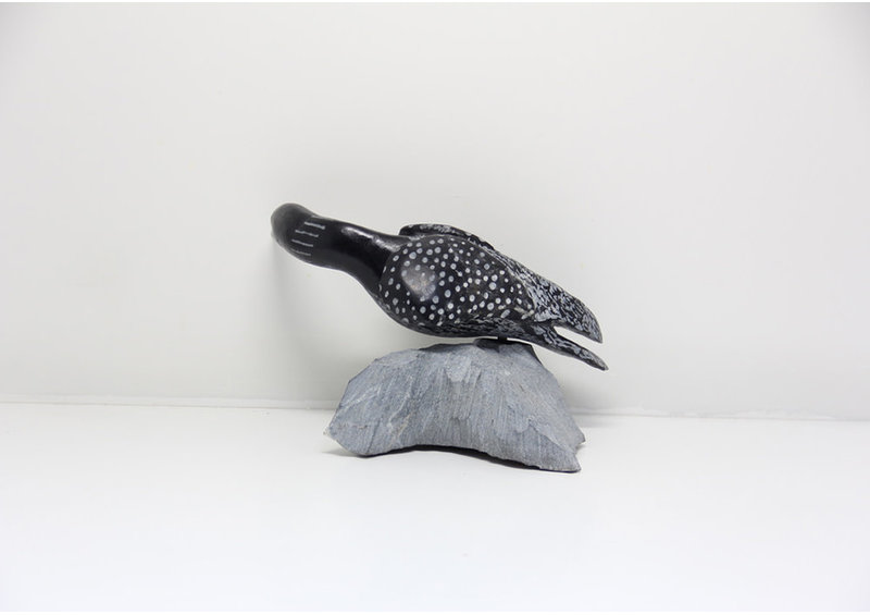 23832 Bird by Mazdak Darehshoirpour