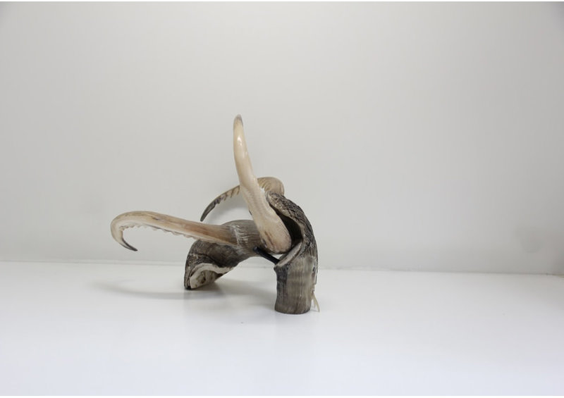 19021 Musk ox horn creature by Ben Kovic