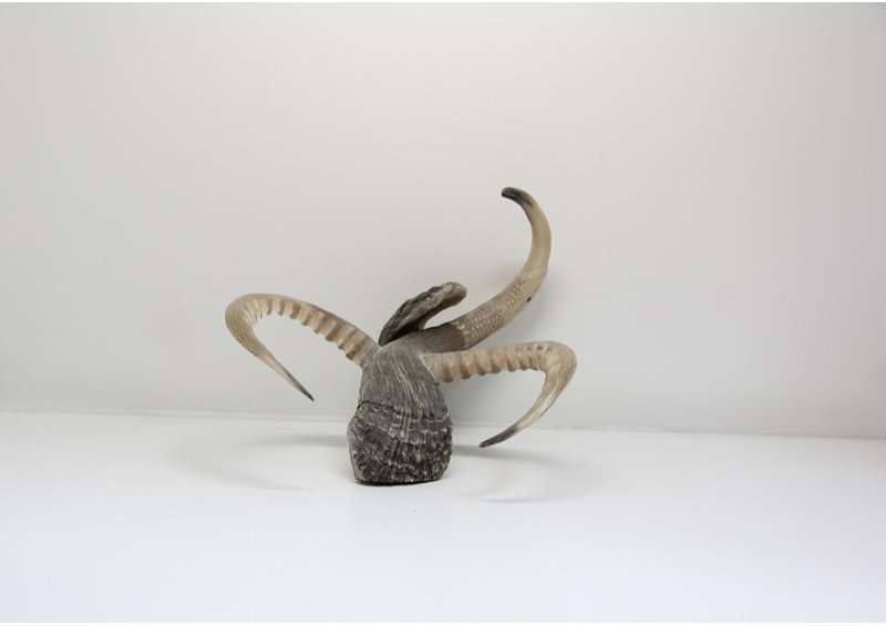 19021 Musk ox horn creature by Ben Kovic