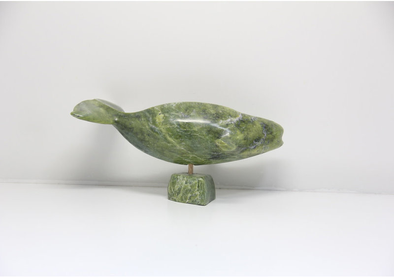 23865 Beluga by Jomie Aipeelee