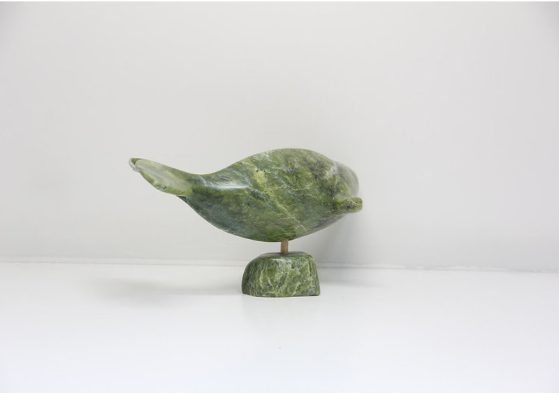 23865 Beluga by Jomie Aipeelee