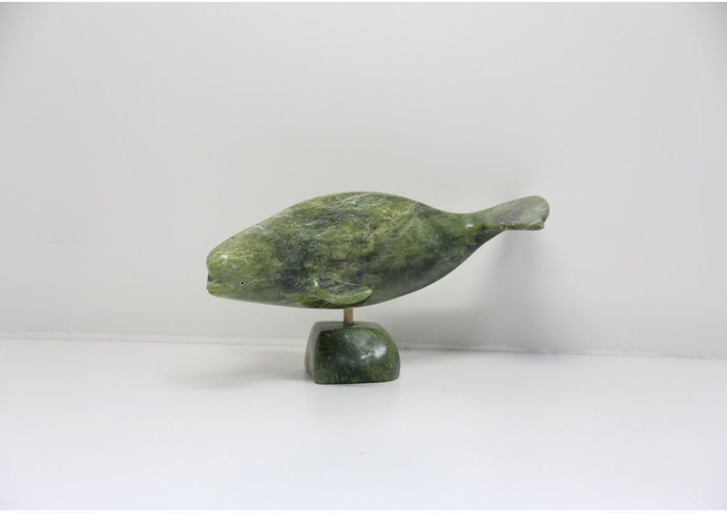 23865 Beluga by Jomie Aipeelee