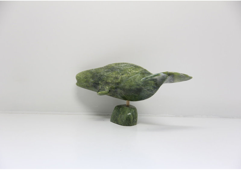 23865 Beluga by Jomie Aipeelee