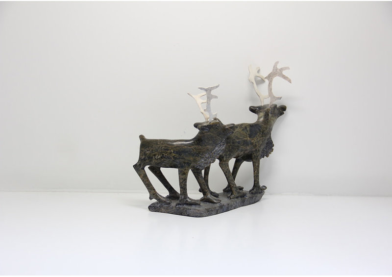 19730 Two caribou by Pavinak Petaulassie