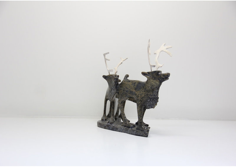 19730 Two caribou by Pavinak Petaulassie