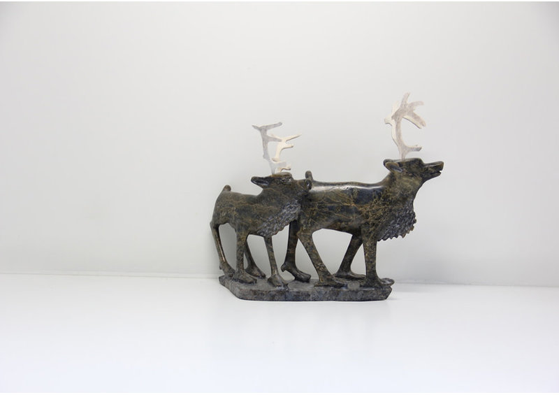 19730 Two caribou by Pavinak Petaulassie