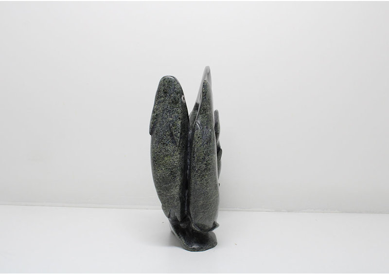 24053 Arctic chars by Kakee Negeoseak