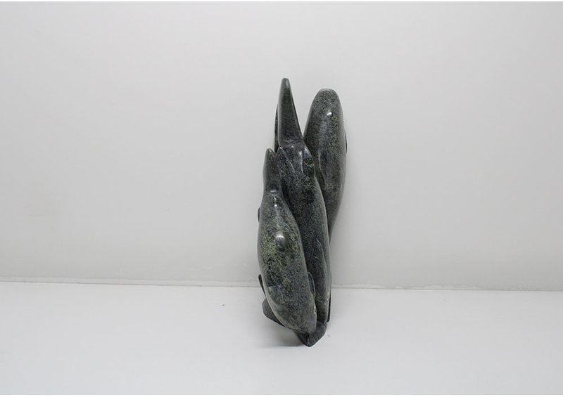 24053 Arctic chars by Kakee Negeoseak