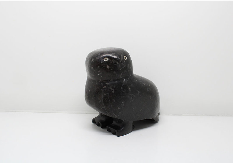 24054 Owl by Kupapik Ningeocheak