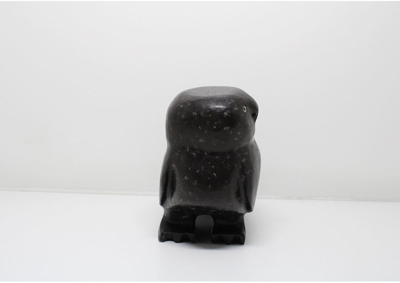 24054 Owl by Kupapik Ningeocheak