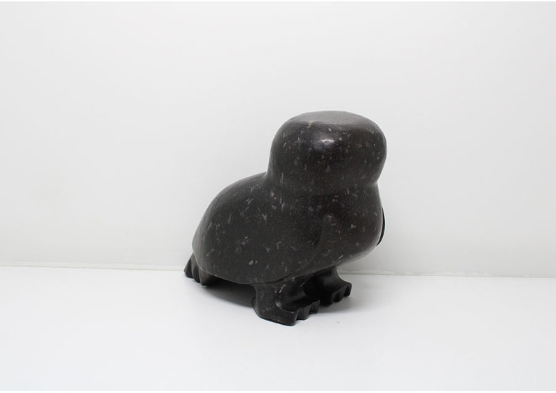 24054 Owl by Kupapik Ningeocheak