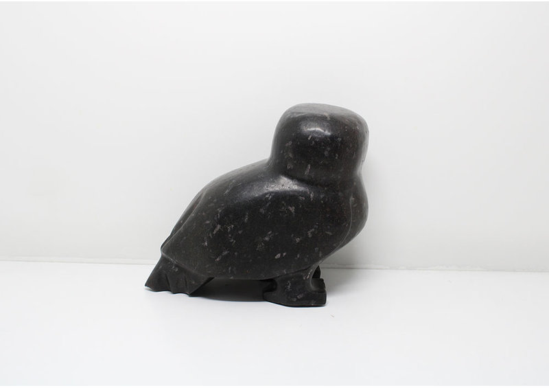 24054 Owl by Kupapik Ningeocheak