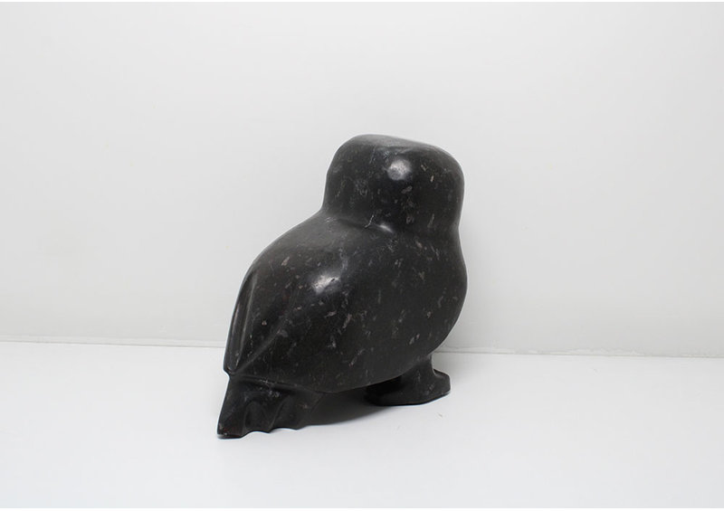 24054 Owl by Kupapik Ningeocheak