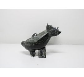 6330 Two belugas on base