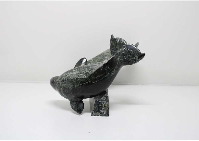 6330 Two belugas on base