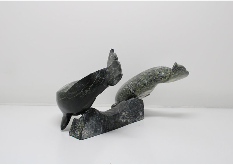 6330 Two belugas on base